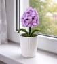 Handmade Everlasting Hyacinth in White Ceramic Pot Spring -Flower Decor 