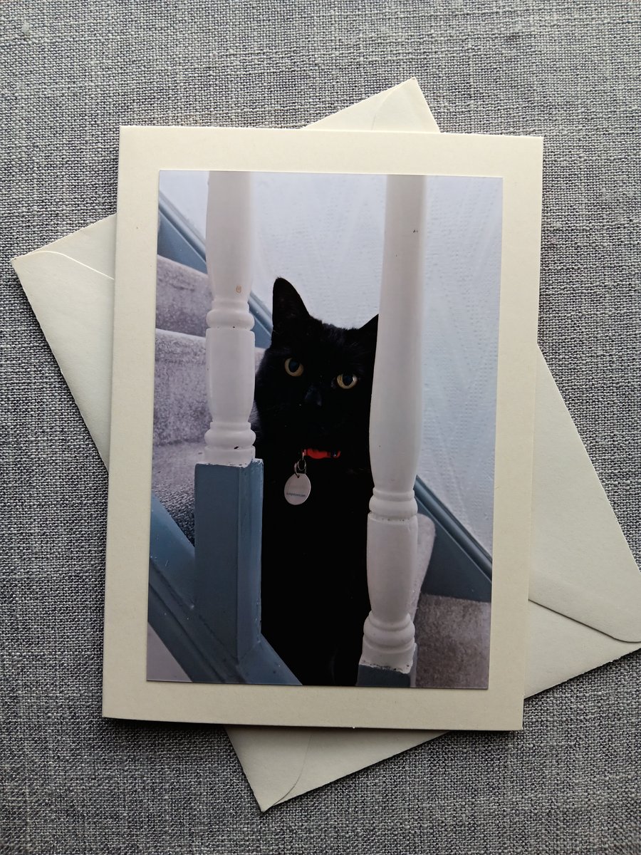 Black Cat Large Photographic Card,7" x 5" (18cm x 13cm) Blank