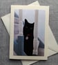 Black Cat Large Photographic Card Size 7" x 5" (18cm x 13cm) Blank