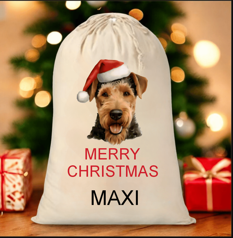 Personalised  Santa sack for your dog