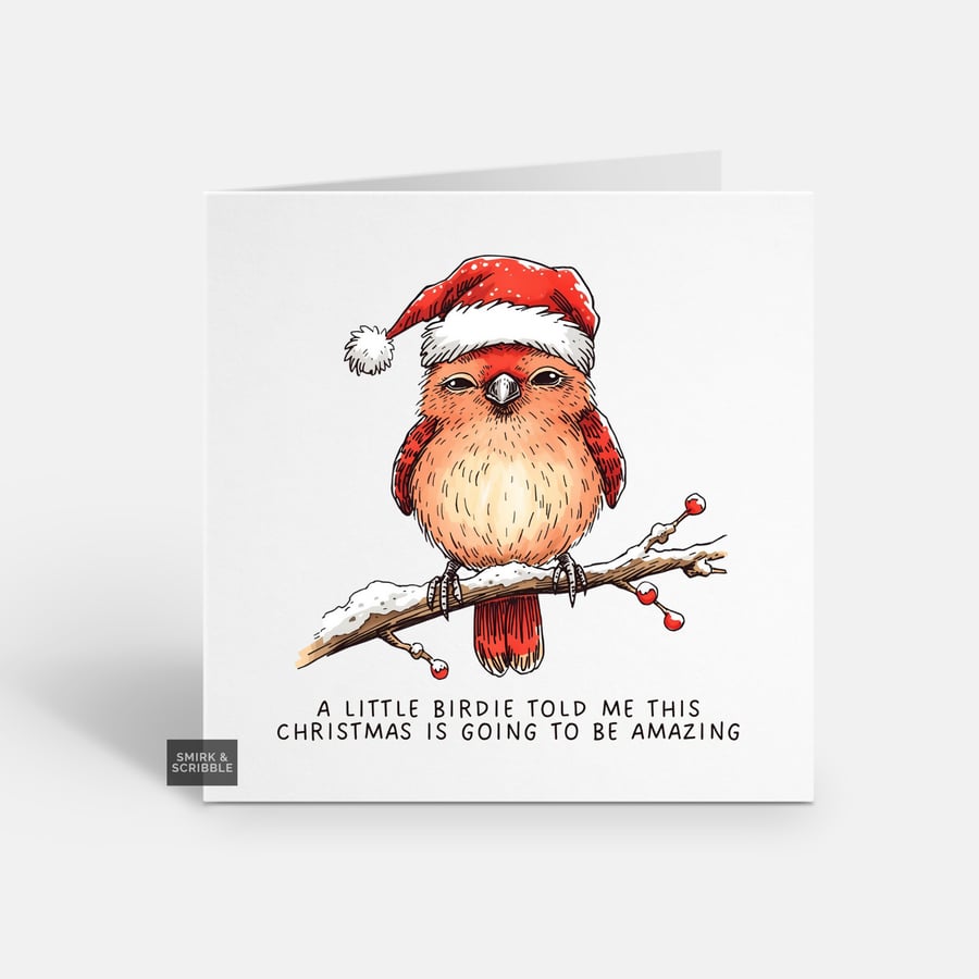 Unique Funny Christmas Card For Him Or Her - Cute Xmas Greeting - Bird