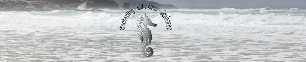 Enchanting-Little-Silver-Seahorse 