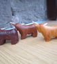 highland coo, highland cow - Image 3