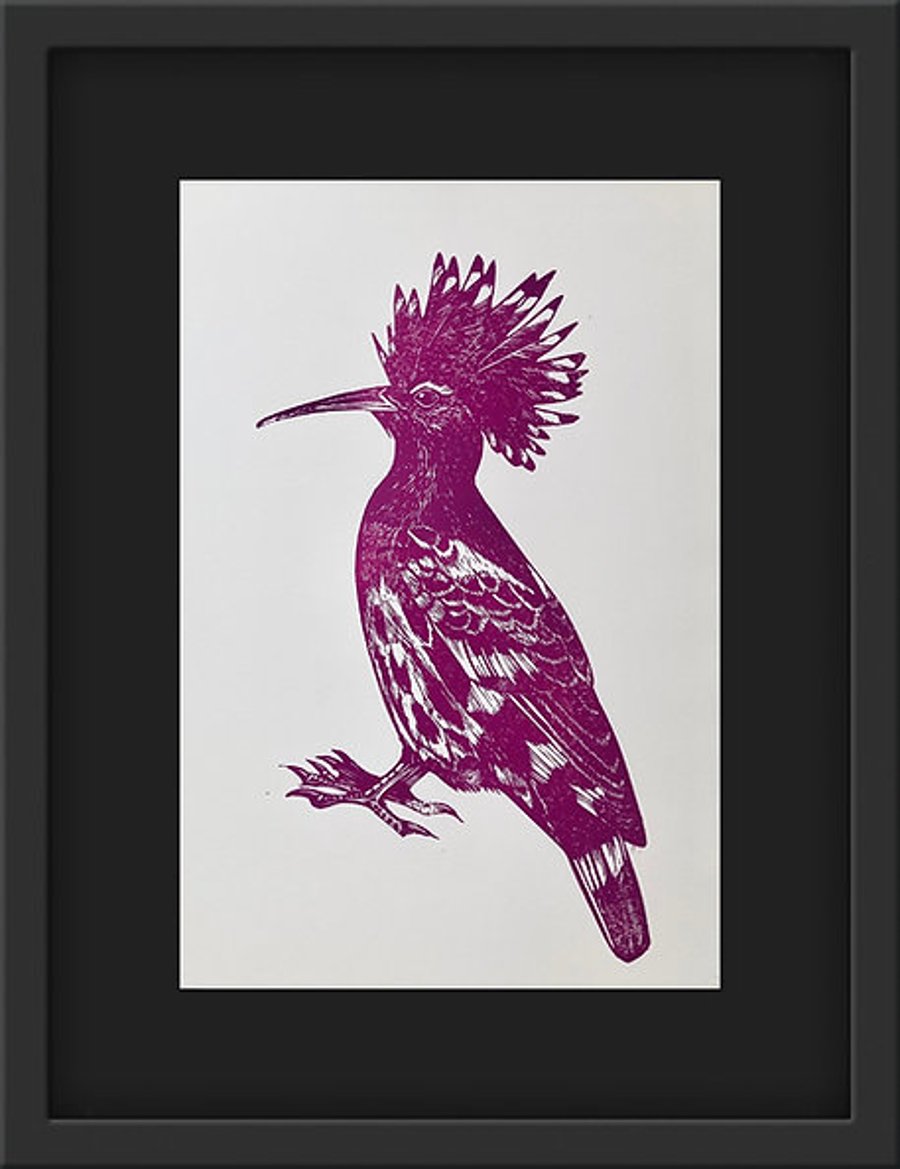 Pink Hoopoe - Original Linocut Prints