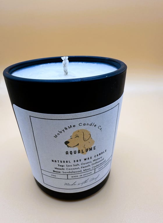 Votive Aqualume Soy Wax Candle