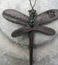 Small Dragonfly  - Image 4