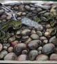 Seaweed and Pebbles - ORIGINAL PAINTING - Image 2