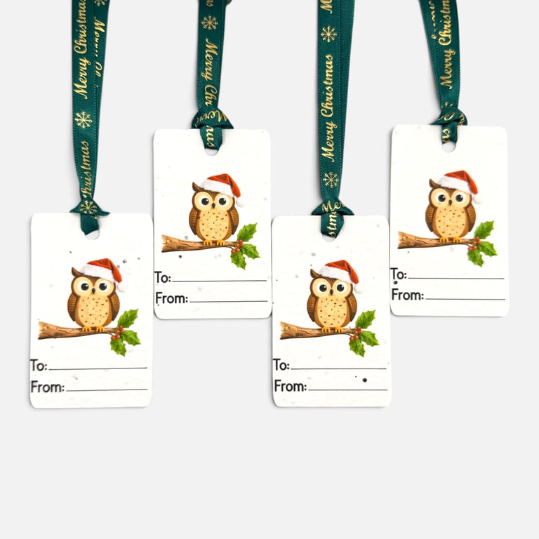 Set of 4 Plantable Christmas Gift Tags, Wildflower Seed Paper, Festive Owl Tags