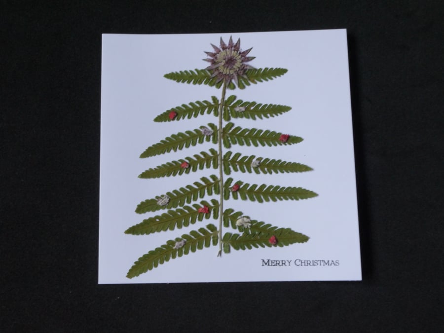 Real pressed flower Fern tree Christmas card