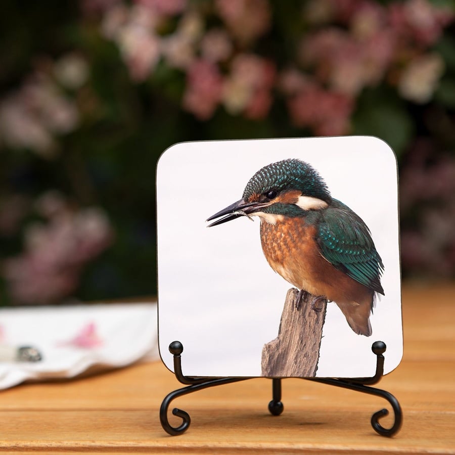 Juvenile Kingfisher Bird Wooden Coaster - Original Animal Photo Gifts - Wildlife