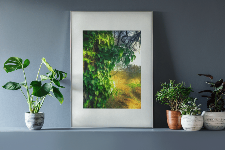 Ivy Tree - Print in A4 or A3 Mount