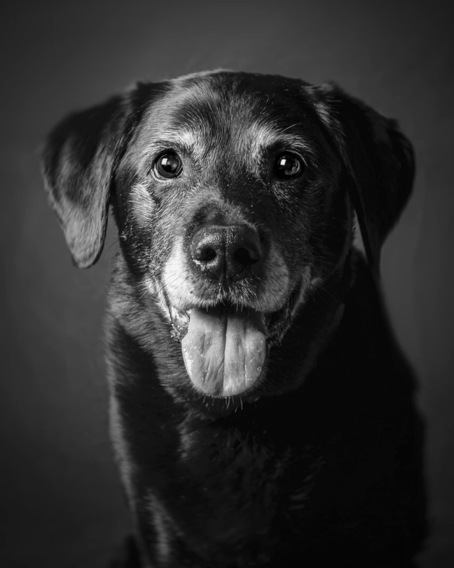 Murphyforever