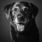 Murphyforever