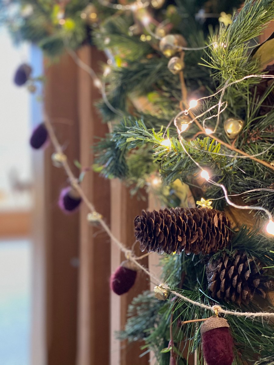 Needle Felted Acorn Garland 