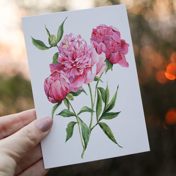 Peony Flower Birthday Card, Card for Friend, Greeting Card, Flower Birthday Gift