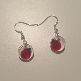 Round ladybird resin earrings