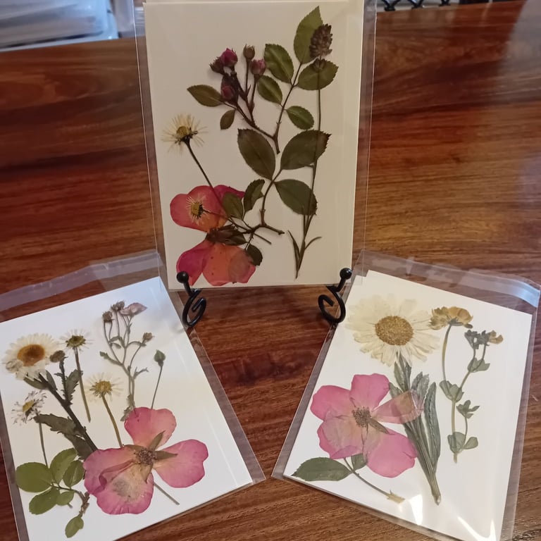 Three original handmade pressed Rose and Daisy cards. 