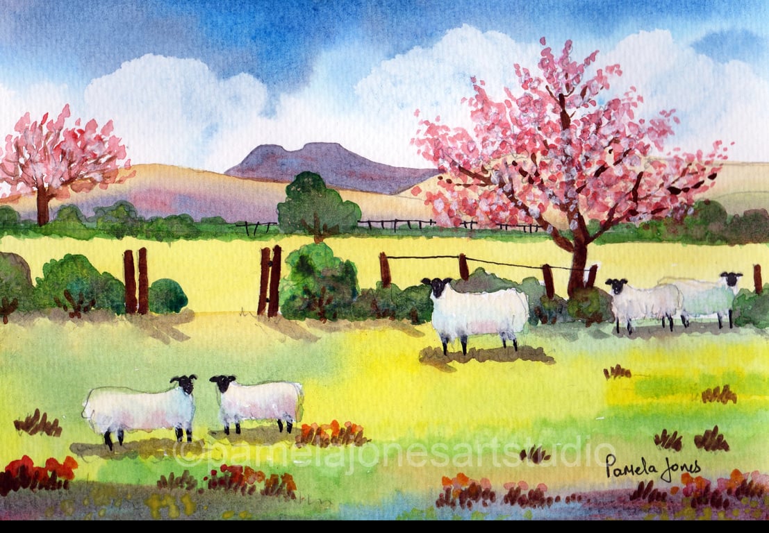 Cherry Blossom, Sheep, Brecon Beacons, Original Watercolour, in 14 x 11 '' Mount