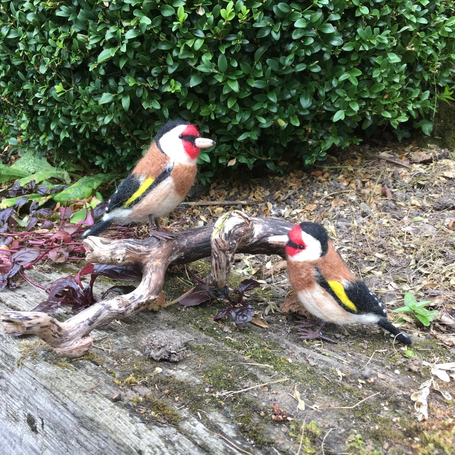 Needle felted goldfinch. british garden birds