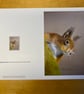 “Seeking the Winter Hoard” blank card or mini print to frame. - Image 4