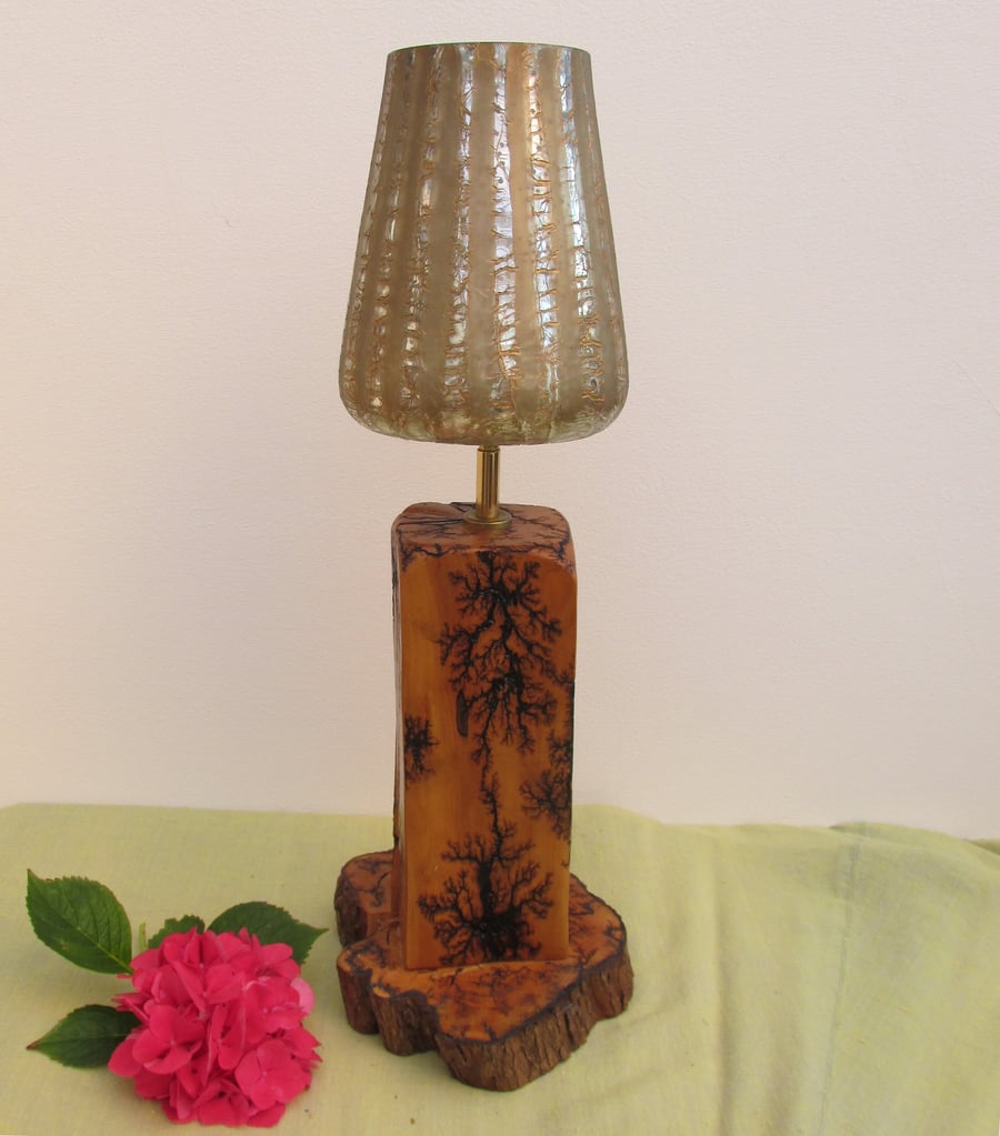 'Tulip' - Wooden Live Edge Table Lamp