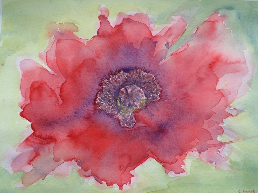 Original watercolour painting single poppy
