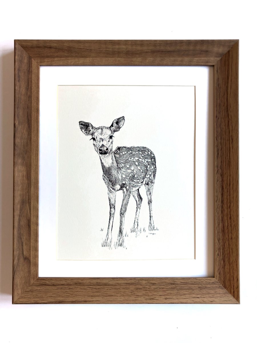 A4 Deer Pen and Ink drawing ORIGINAL