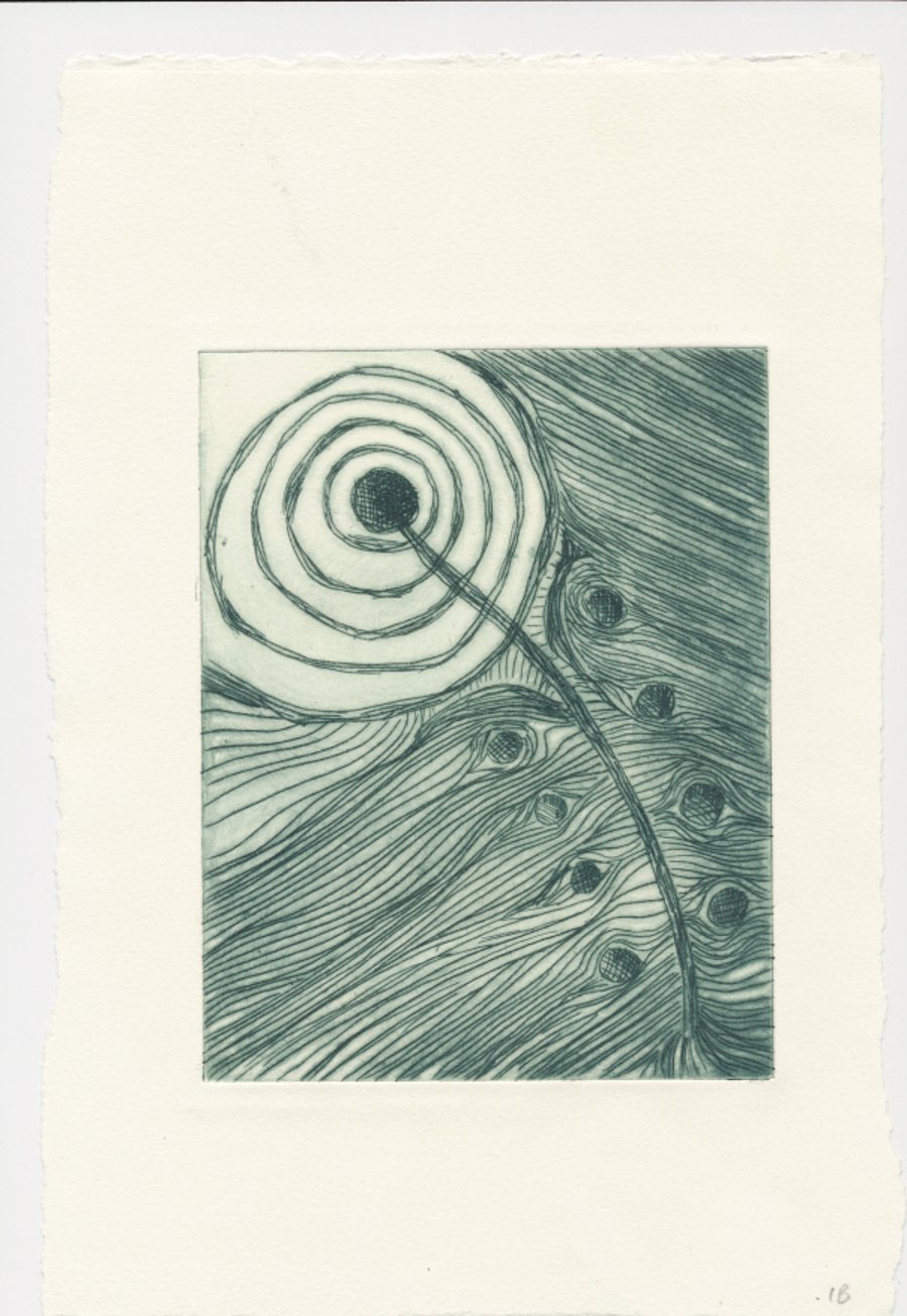 Feather - drypoint print in dark green in  variable edition of 6