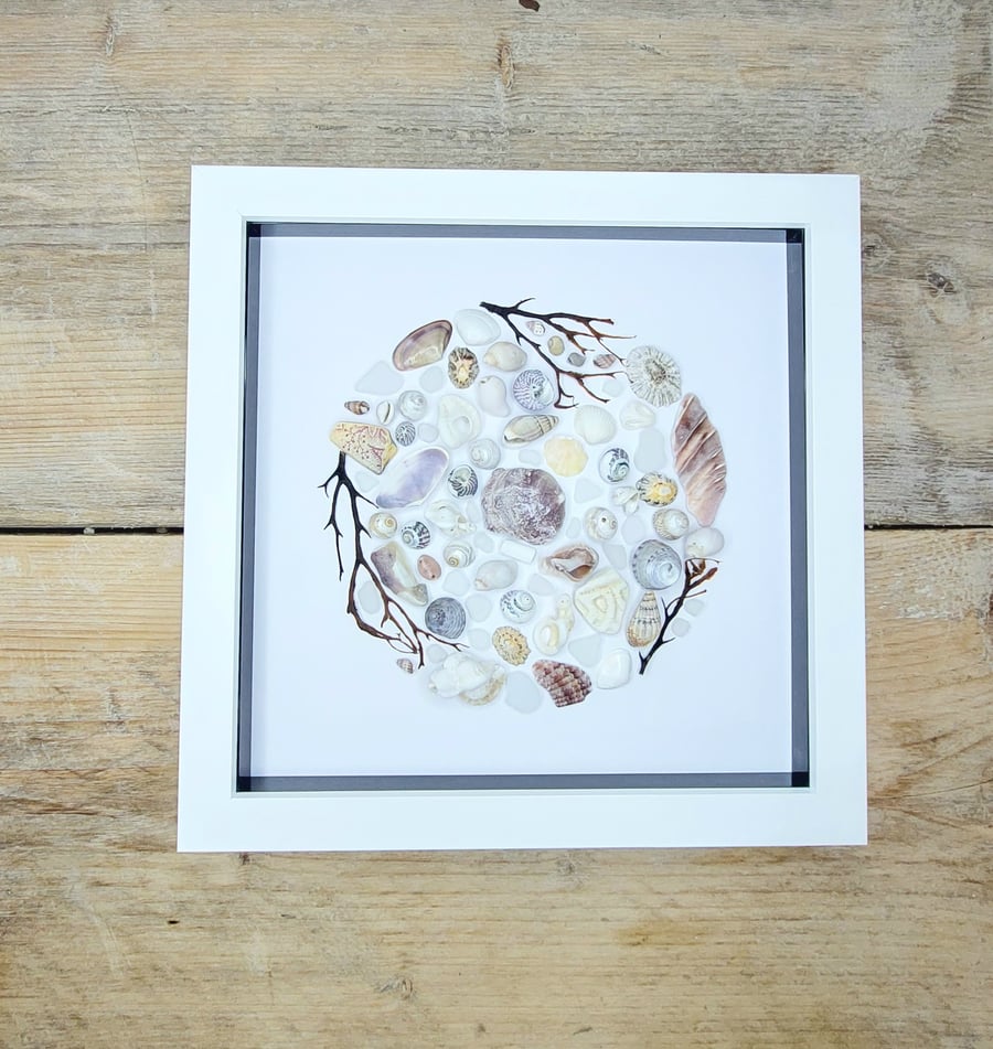 Cornish beach finds of shells, seaglass and seaweed in a circular art work 