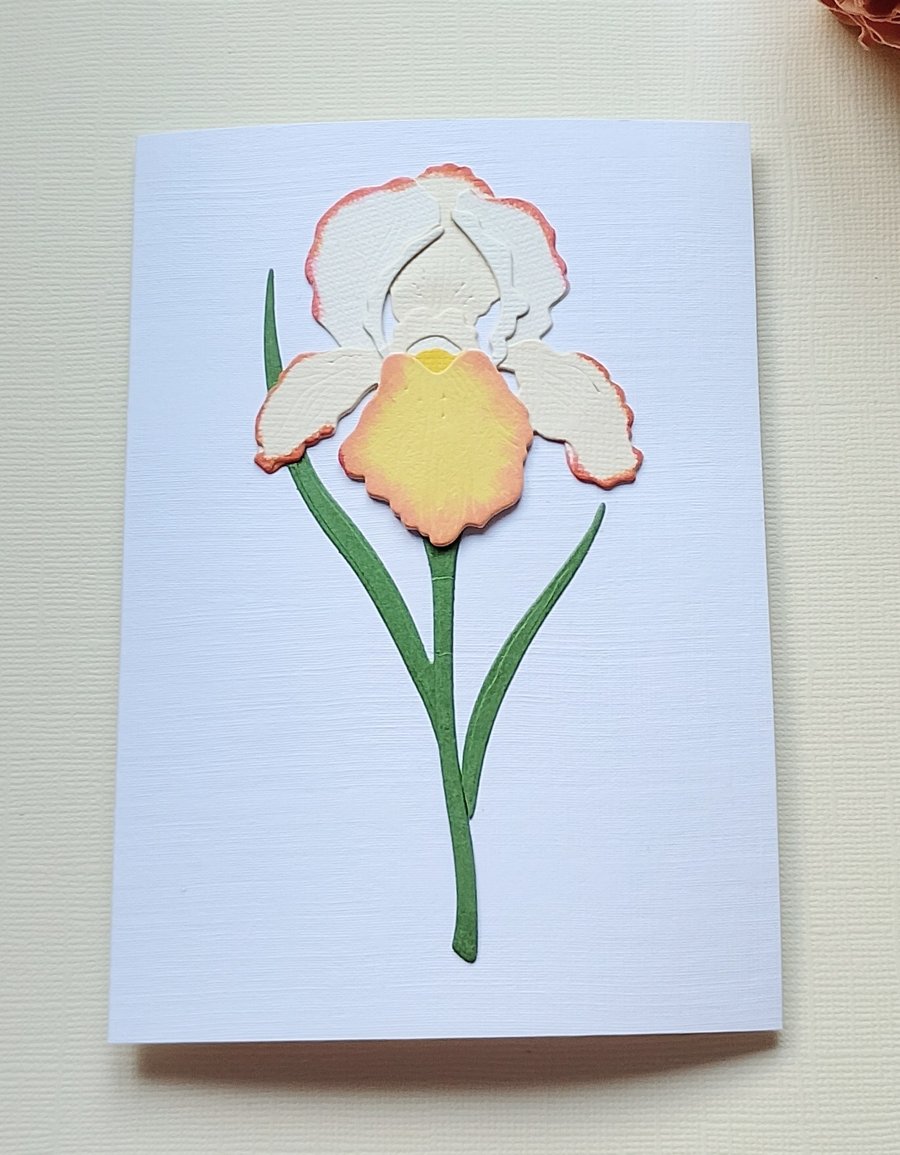Cream-Yellow Paper Iris - Flower Shop Moments, Blank Handmade Floral Card 