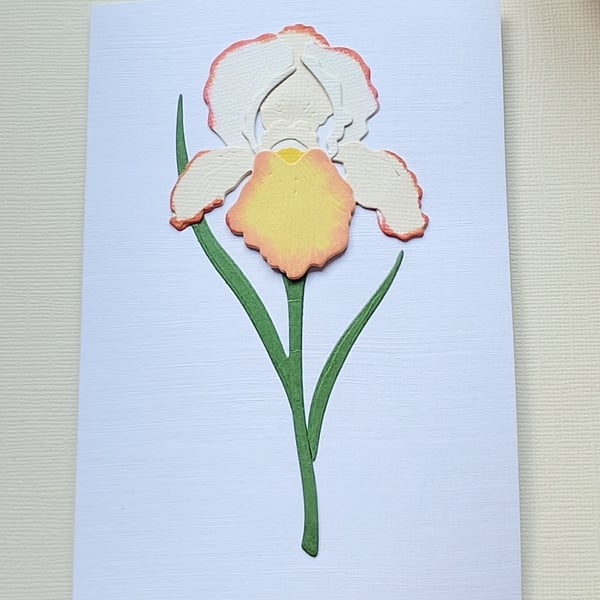 Cream-Yellow Paper Iris - Flower Shop Moments, Blank Handmade Floral Card 