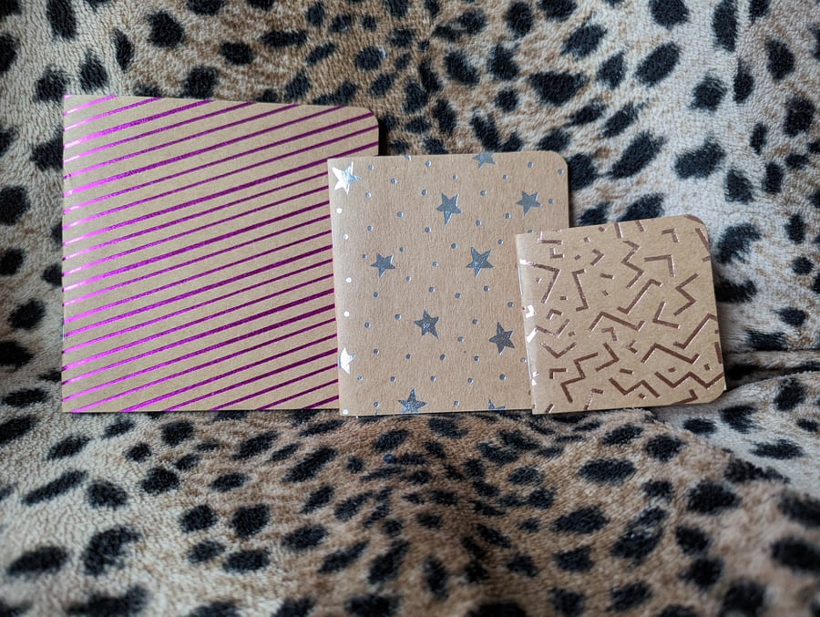 3 Pack Variety Small Notebooks