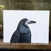 Rook Corvid Portrait Painting 