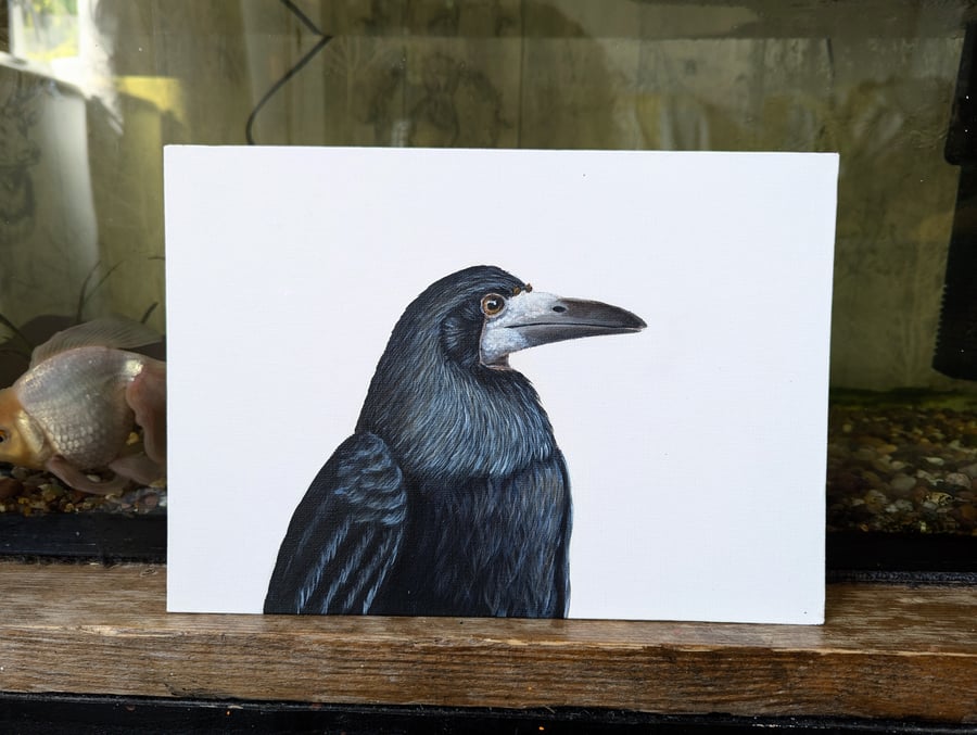 Rook Corvid Portrait Painting 