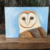 Barn Owl Acrylic Portrait Painting 