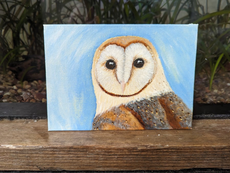 Barn Owl Acrylic Portrait Painting 