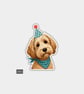 Funny Novelty Vinyl Sticker - Cute Birthday Dog