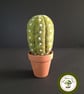 Handmade Cactus. Needle Felted with Wool Fibres. Real Terracotta Pot.