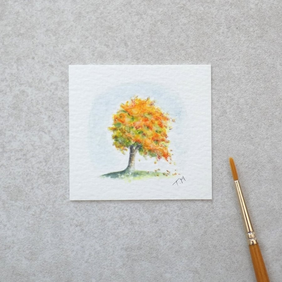 Miniature Watercolour Painting 'Autumn Sycamore' tree (5.5cm x 6cm)