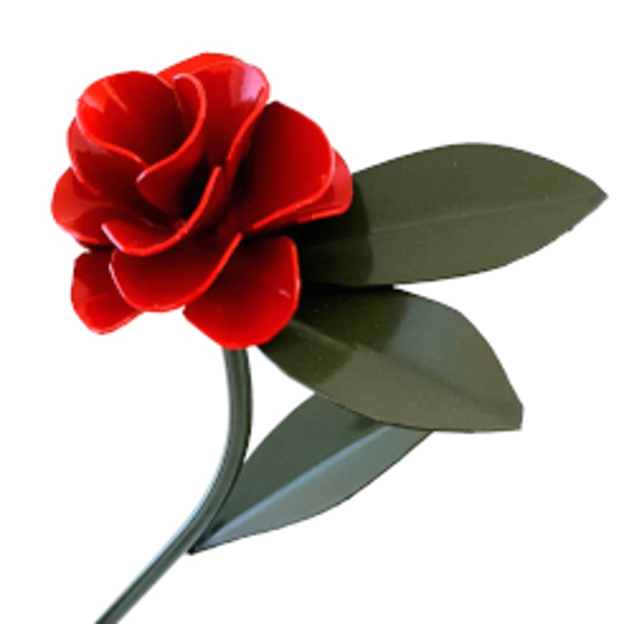 Commemorative rose