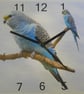budgie wall clock blue budgie clock - Image 1