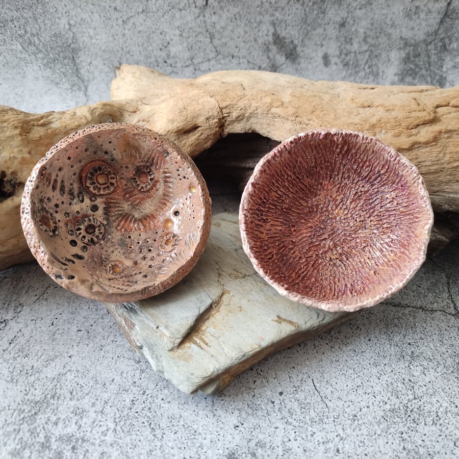 Pair of Seaside Dishes, Little Clay Sea Fossil Bowls