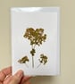 Real Pressed Flower, Lady's Mantle Handmade Card - Image 4