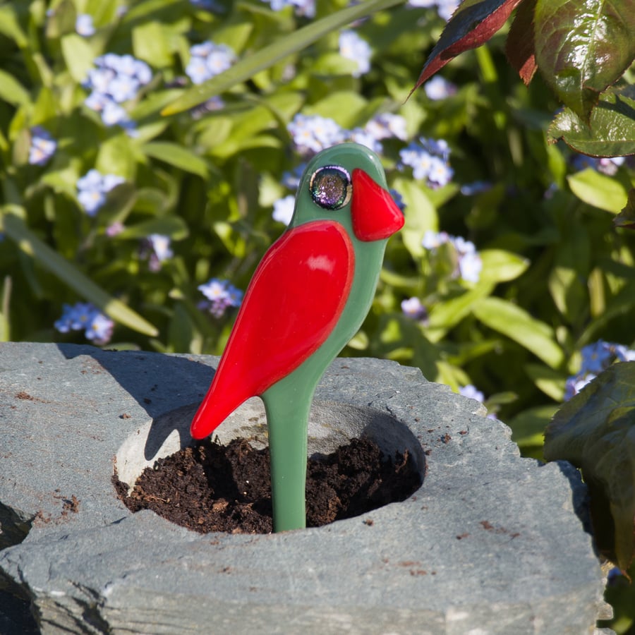 Green and Red Pot Parrot in Fused Glass - 6117