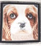 King Charles Spaniel Puppy Portrait cushion - Image 2