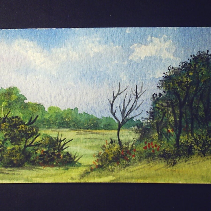 Art painting aceo SFA original paintings landscape 82