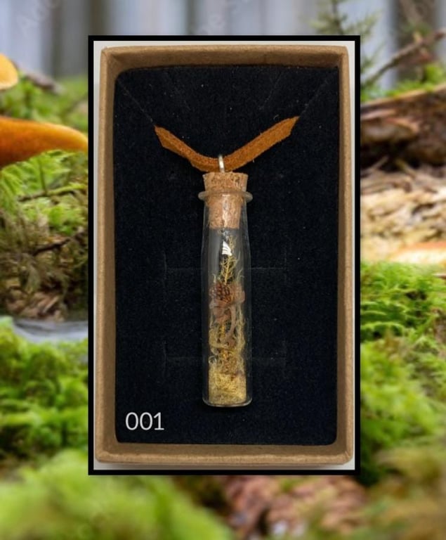 Forest curio jar necklace