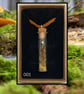 Forest curio jar necklace