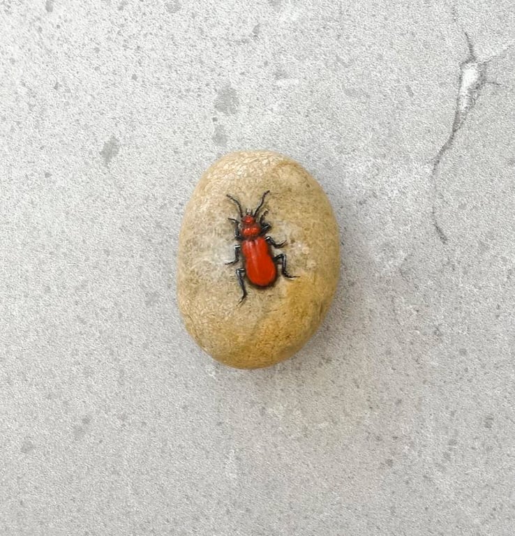 Insect  Beetle Art Hand Painted Stone Pebble 'Cardinal Beetle'