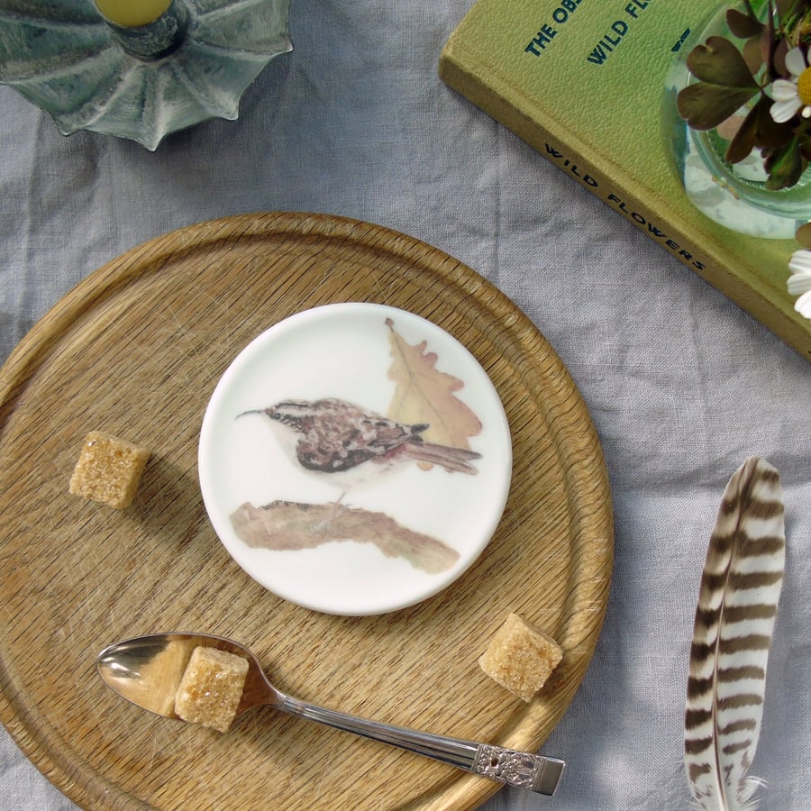 Treecreeper Coaster 